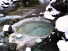 渓流露天風呂 （2005年3月）